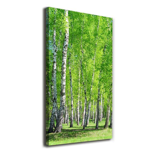 Leinwandbild Birch Forest Alpen Home on Productcaster.