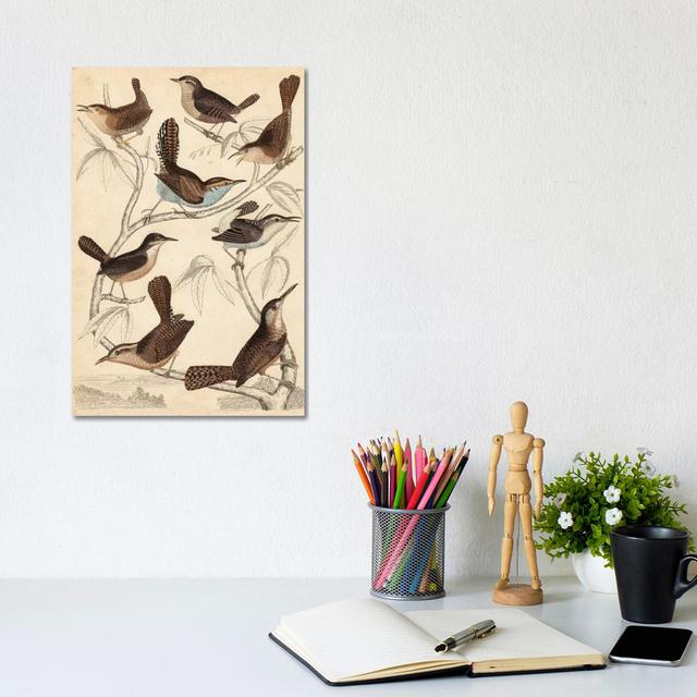 Avian Habitat VI by Milne - Wrapped Canvas Print ClassicLiving Size: 30.48cm H x 20.32cm W x 1.905cm D on Productcaster.