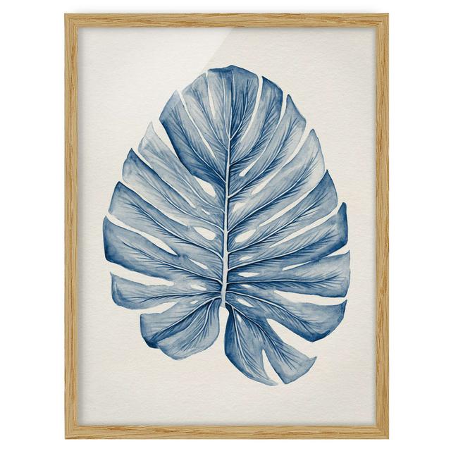 Drawing Tropical Monstera in Indigo - Picture Frame Painting Bay Isle Home Frame Option: Brown, Size: 40cm H x 30cm W x 2cm D on Productcaster.