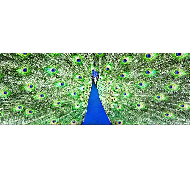 Der Pfau Painting Print Glass Art Bay Isle Home Size: 50 cm H x 125 cm W x 1.4cm D on Productcaster.