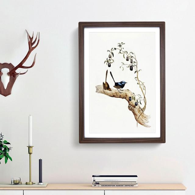 Long-Tailed Wrens by Elizabeth Gould - Picture Frame Painting Print East Urban Home Size: 65cm H x 48cm W x 2cm D, Frame Option: Walnut Framed on Productcaster.