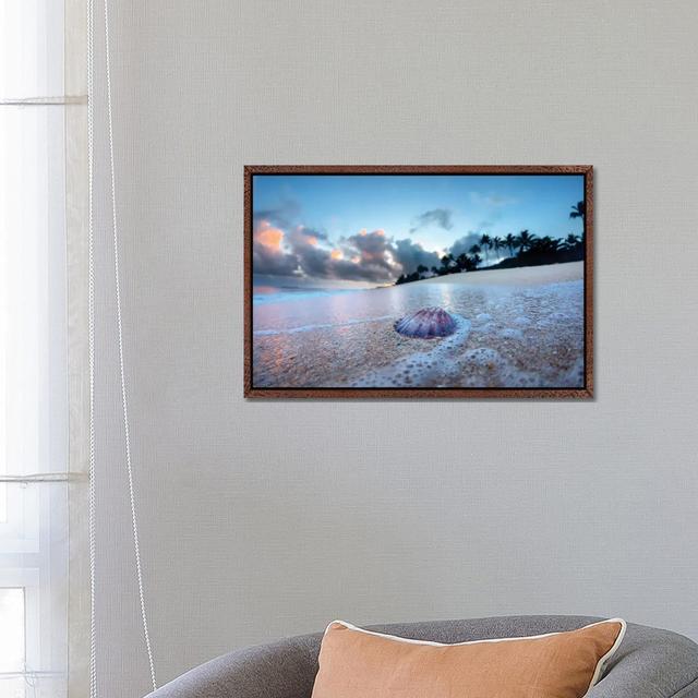 Shell Foam by Sean Davey - Gallery-Wrapped Canvas Giclée on Canvas Beachcrest Home Format: Classic Wood Framed, Size: 45.72cm H x 66.04cm W x 3.81cm D on Productcaster.