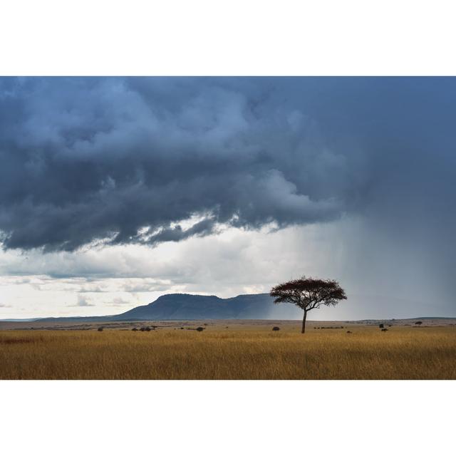 Clouds Over Masai Mara - Wrapped Canvas Photograph Latitude Run Size: 61cm H x 91cm W x 3.8cm D on Productcaster.