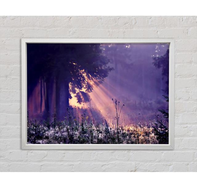 Sunray Tree - Single Picture Frame Art Prints on Canvas Bright Star Size: 84.1cm H x 118.9cm W x 3.3cm D on Productcaster.