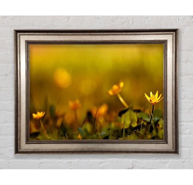 Single Picture Frame Art Prints Bright Star Size: 29.7cm H x 42cm W on Productcaster.