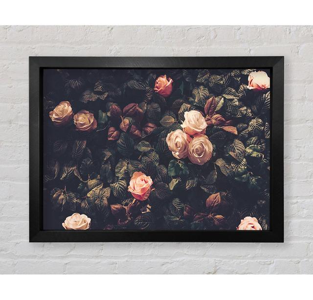 Pale Roses In Soft Greenery - Single Picture Frame Art Prints Bright Star Size: 84.1cm H x 118.9cm W x 3.4cm D on Productcaster.