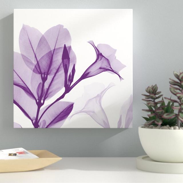 Lavendar Mandelilla - Wrapped Canvas Graphic Art Print East Urban Home Size: 30 cm H x 30 cm W on Productcaster.