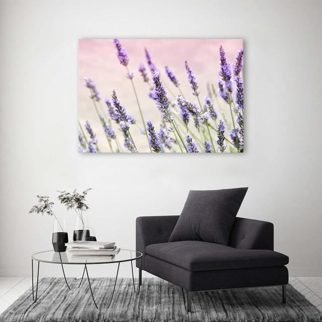 Leinwandbild Lavender Nature Flowers Ebern Designs Größe: 70 cm H x 100 cm B on Productcaster.