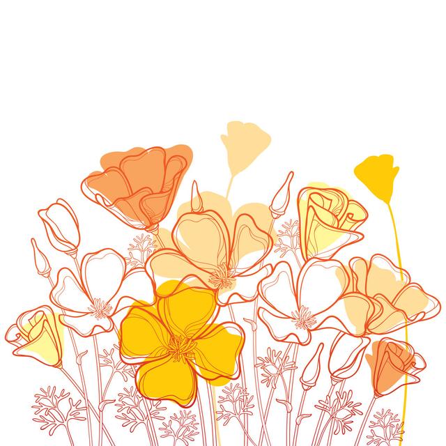 Vector Bouquet With Outline Orange by Bokasana - Print Marlow Home Co. Size: 91cm H x 91cm W on Productcaster.