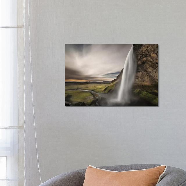 Nature Study - Wrapped Canvas Print Alpen Home Size: 45.72cm H x 66.04cm W x 1.905cm D on Productcaster.