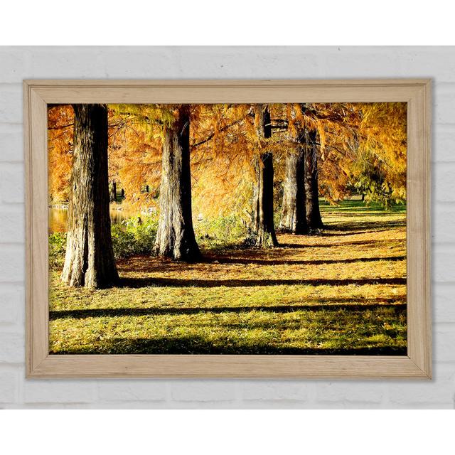 Orange Winter Woodland Walk - Print Ebern Designs Size: 42cm H x 59.7cm W x 1.5cm D on Productcaster.