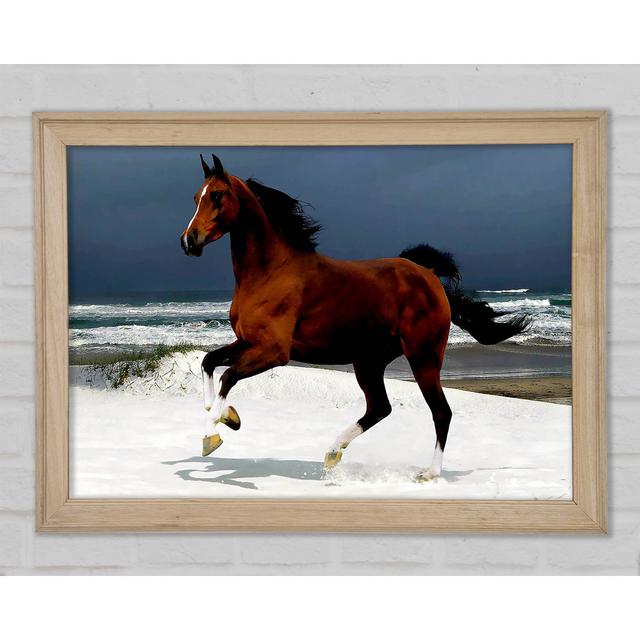 Ocean Horse Beauty - Print Gracie Oaks Size: 21cm H x 29.7cm W x 1.5cm D on Productcaster.