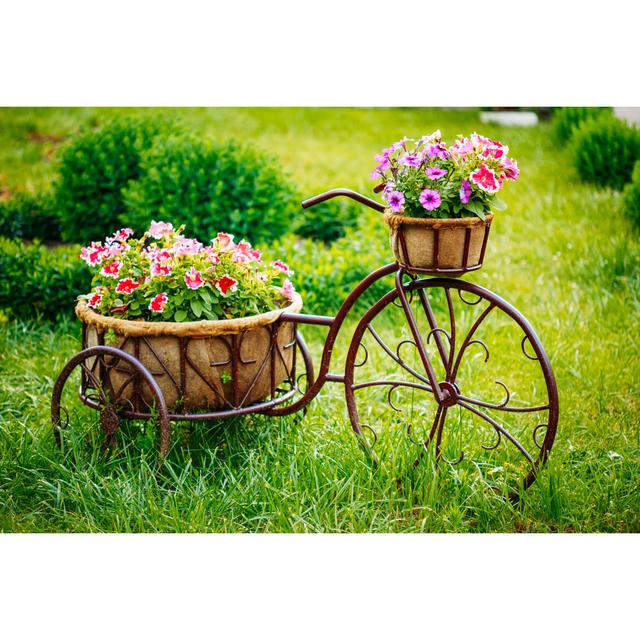 Decorative Vintage Model Old Bicycle Equipped Basket Flowers Gar by bruev - Wrapped Canvas Photograph Print Ebern Designs Size: 51cm H x 76cm W x 3.8c on Productcaster.