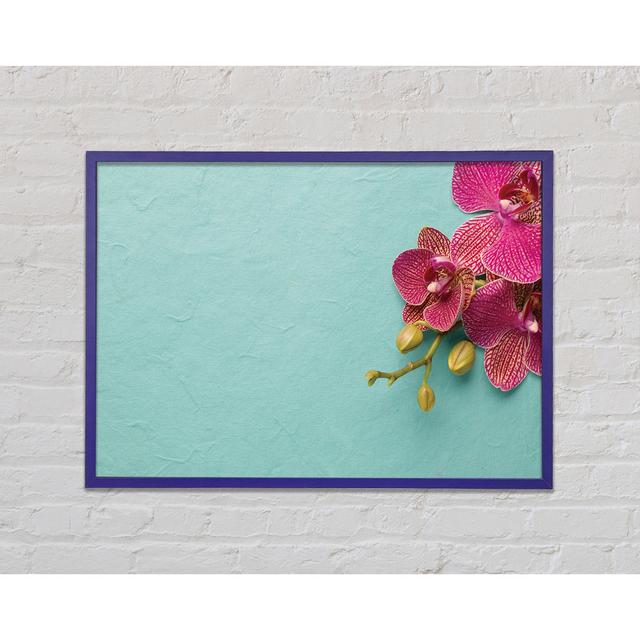 Orchids On The Blue - Print Brayden Studio Size: 59.7cm H x 84.1cm W x 2cm D on Productcaster.