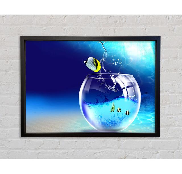 Fishy Life Framed Print Highland Dunes Size: 84.1cm H x 118.9cm W on Productcaster.