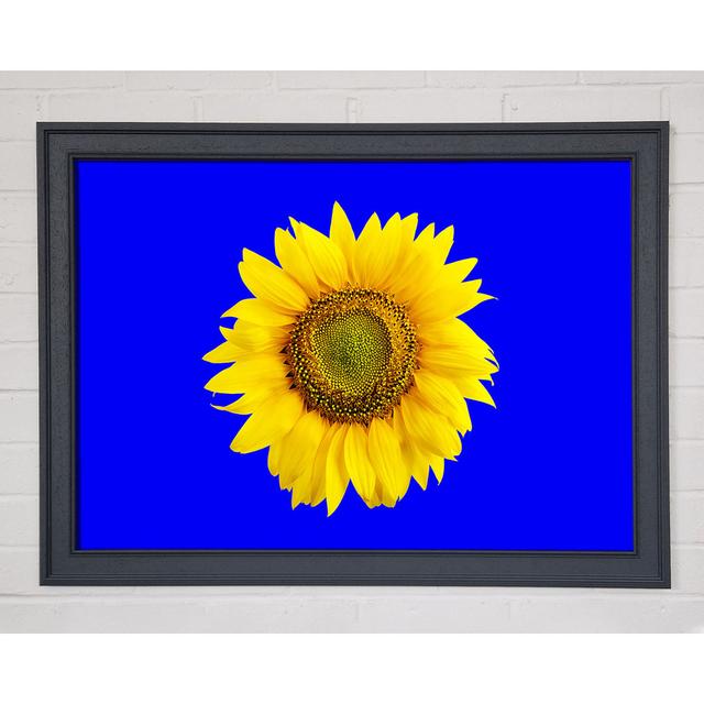 Sunflower Head On Blue - Single Picture Frame Art Prints August Grove Size: 59.7cm H x 84.1cm W x 1.5cm D on Productcaster.