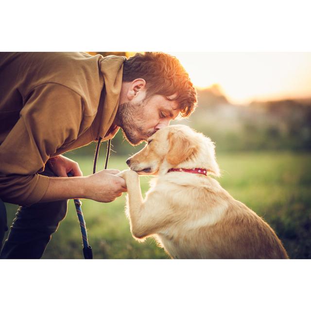 Glücklicher Mann trainiert mit seinem Hund in der Natur von Nevena1987 - Ohne Rahmen auf Leinwand drucken 17 Stories Größe: 20 cm H x 30 cm B on Productcaster.