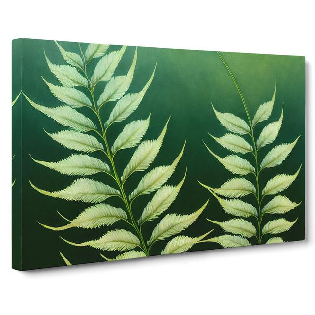 Enviable Fern Leaf - Wrapped Canvas Graphic Art Marlow Home Co. Size: 40cm H x 60cm W x 3cm D on Productcaster.