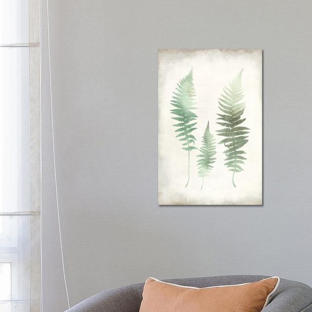 Watercolour Fern I Vintage by Kimberly Allen - Wrapped Canvas Print Brambly Cottage Size: 66.04cm H x 45.72cm W x 3.81cm D on Productcaster.