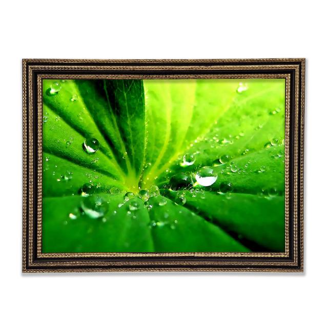 Single Picture Frame Art Prints Ebern Designs Size: 29.7cm H x 42cm W on Productcaster.