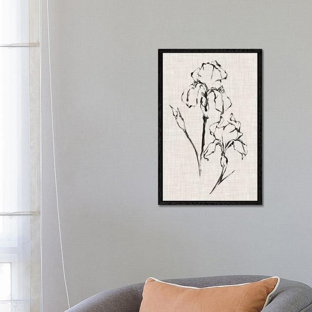 Floral Ink Study II by Ethan Harper - Gallery-Wrapped Canvas Giclée on Canvas August Grove Format: Black Framed, Size: 66.04cm H x 45.72cm W x 3.81cm on Productcaster.