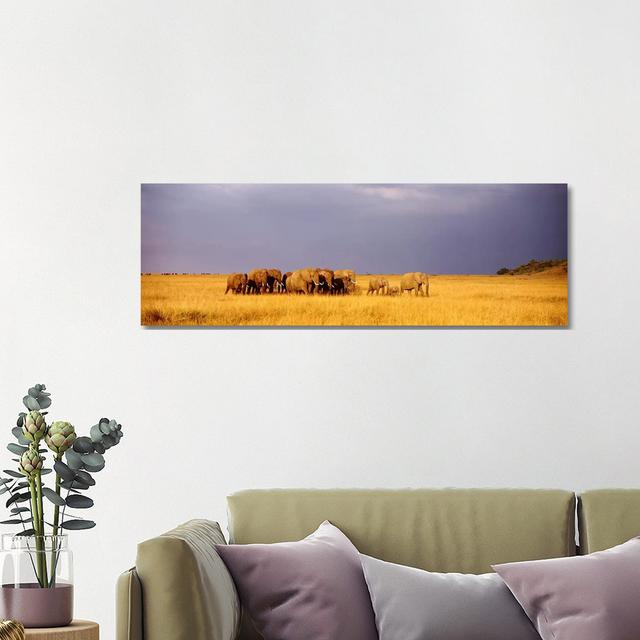 Elephant Herd, Maasai Mara Kenya - Wrapped Canvas Panoramic Print Brayden Studio Size: 40.64cm H x 121.92cm W x 1.91cm D on Productcaster.