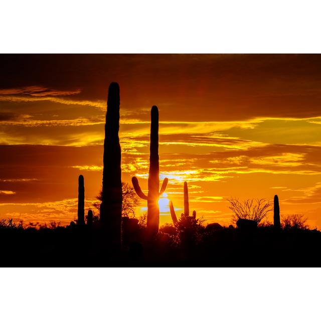 Butera Desert Landscape At Sunset by RobertSilberblatt - Wrapped Canvas Print Natur Pur Size: 81cm H x 122cm W x 3.8cm D on Productcaster.