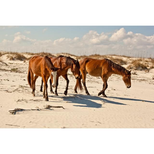 Beach Trio by BeachcottagePhotography - No Frame Print on Canvas Natur Pur Size: 20cm H x 30cm W on Productcaster.