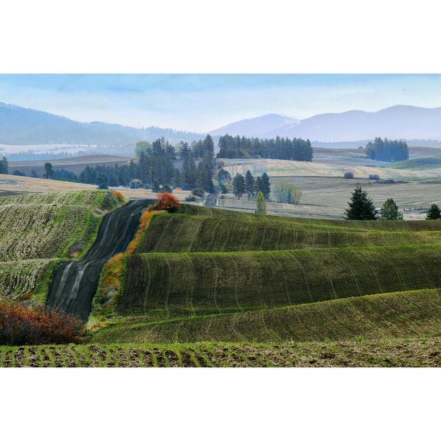 Pastoral Countryside XIII by Colby Chester - Wrapped Canvas Print Blue Elephant Size: 81cm H x 122cm W on Productcaster.