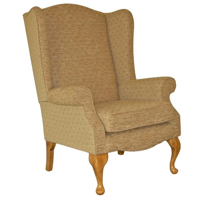 Rochelle Upholstered Wingback Chair Fernleaf Upholstery: Turin Espresso, Frame Finish: Light Oak on Productcaster.