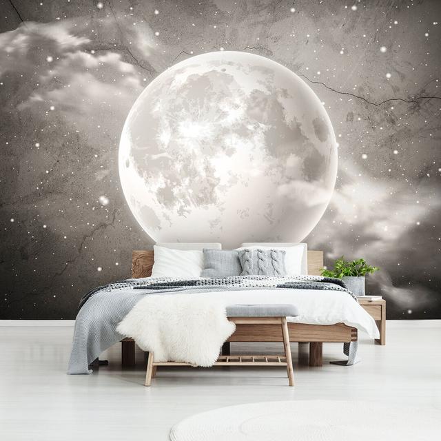 Whinnie Glitter Wall Mural 17 Stories Size: L254 x W416 cm, Colour: Sepia on Productcaster.