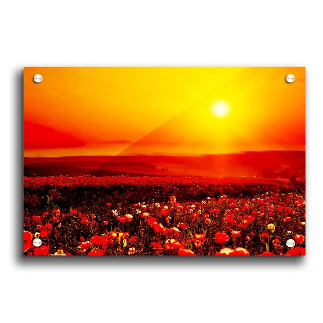 Poppy Field Mist - Unframed Graphic Art Print on Paper East Urban Home Size: 84.1cm H x 118.9cm W on Productcaster.