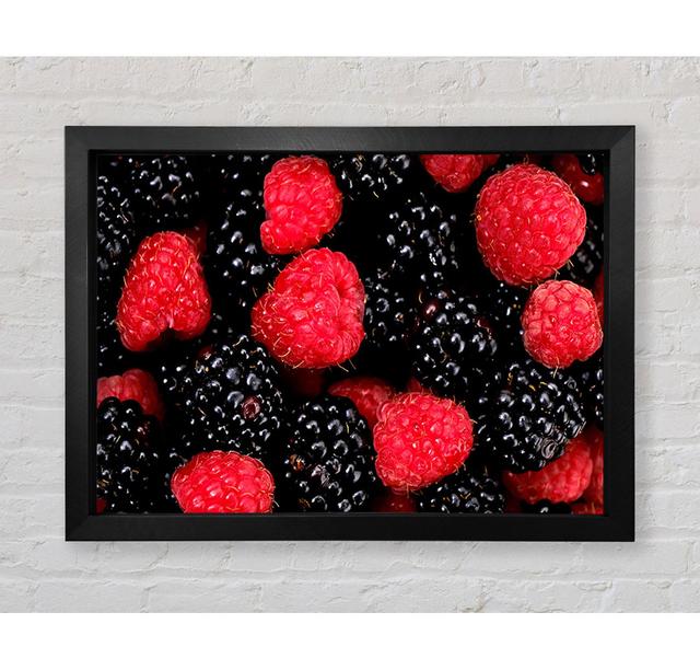 Raspberries N Blackberries - Print Brayden Studio Size: 84.1cm H x 118.9cm W x 3.4cm D, Format: Ventura Bronze Framed Paper on Productcaster.