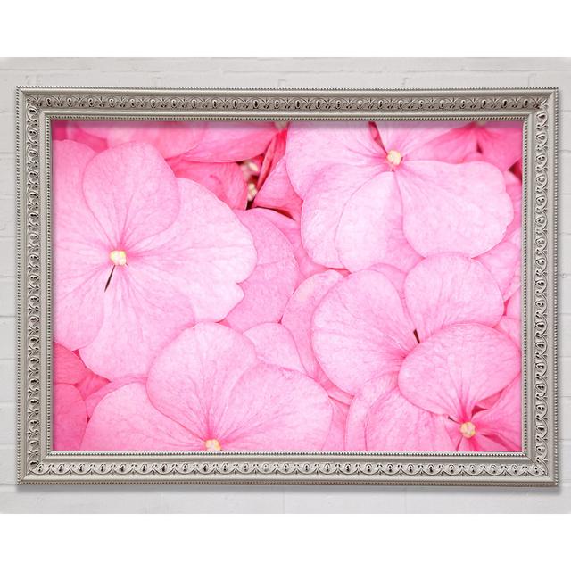 Bed Of Petals - Single Picture Frame Art Prints Bright Star Size: 21cm H x 29.7cm W x 3cm D on Productcaster.