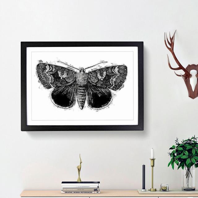 Epione Underwing Moth by S.F. Denton - Picture Frame Painting Print on MDF East Urban Home Frame Option: Black Framed, Size: 48cm H x 65cm W x 2cm D on Productcaster.