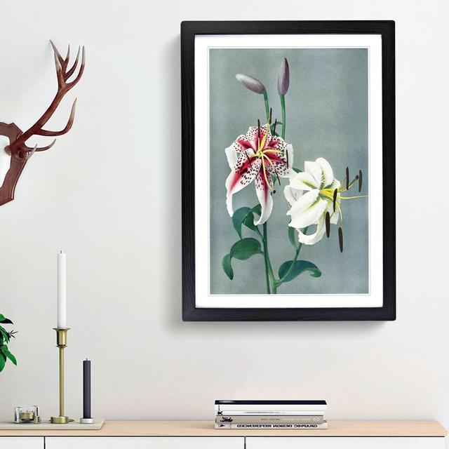 Lily Flowers by Ogawa Kazumasa - Picture Frame Painting Print East Urban Home Size: 36cm H x 27cm W x 2cm D, Frame Option: Black Framed on Productcaster.