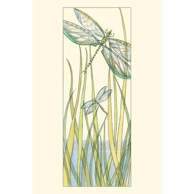 Sm.Gossamer Dragonflies II by Chariklia Zarris - Wrapped Canvas Art Prints Brambly Cottage Size: 76cm H x 51cm W x 3.8cm D on Productcaster.