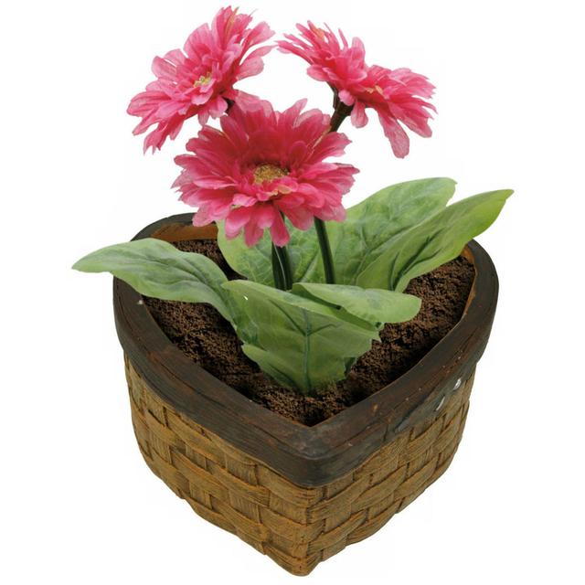 Gearhart Resin Heart Flower Plant Pot 17 Stories on Productcaster.