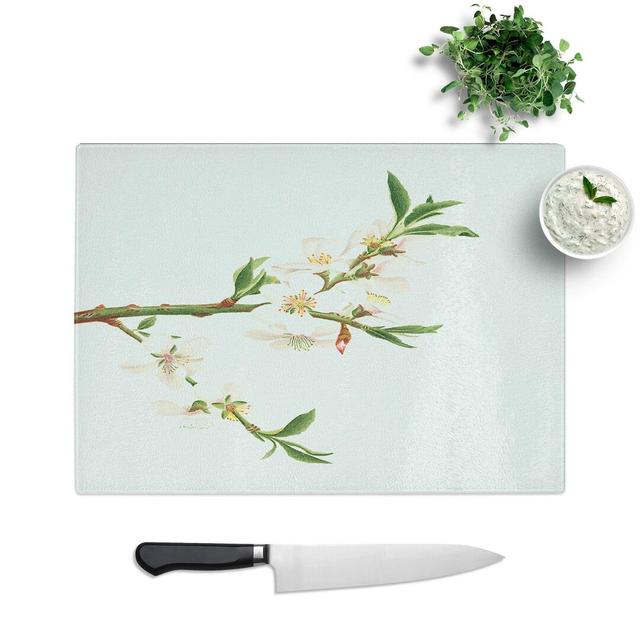 Tempered Glass Almond Tree Flower Chopping Board East Urban Home Size: 28.5 cm W x 20 cm L on Productcaster.