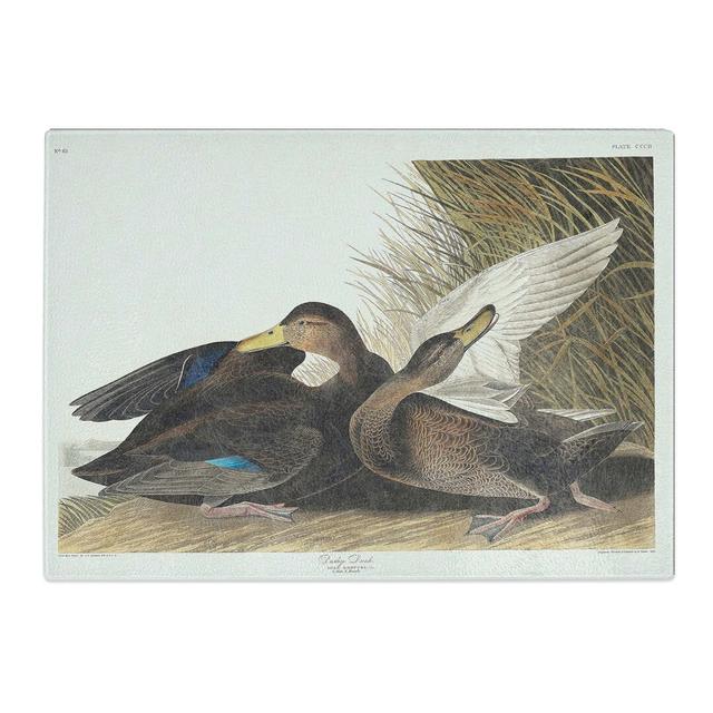 Tempered Glass Dusky Duck by John James Audubon Chopping Board East Urban Home Size: 39 cm x 28.5 cm on Productcaster.