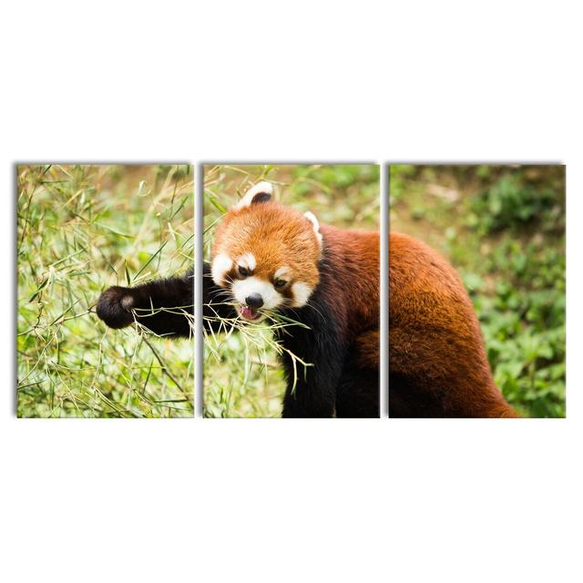 Cute Red Panda Photographic Print Multi-Piece Image on Canvas East Urban Home Size: 100 cm H x 210 cm W on Productcaster.