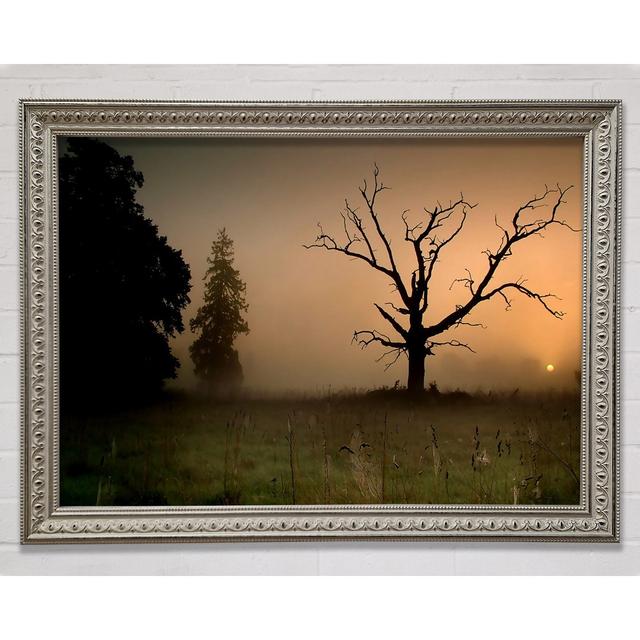 Single Picture Frame Art Prints Union Rustic Size: 42cm H x 59.7cm W on Productcaster.