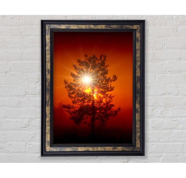 Orange Skies - Single Picture Frame Art Prints Bright Star Size: 59.7cm H x 42cm W x 8cm D on Productcaster.