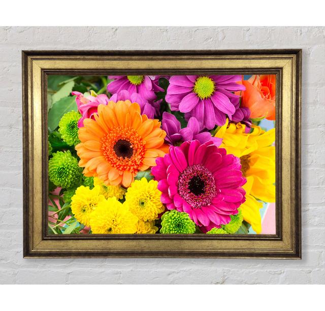 Gerbera Flower Mix - Drucken Bright Star Größe: 100cm H x 141,4cm B x 8cm T on Productcaster.