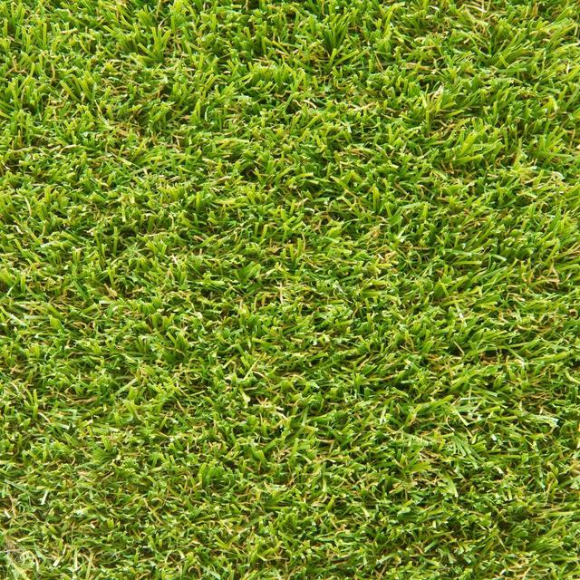 Artificial Grass Turf Rug and Roll The Seasonal Aisle Size: 4cm H x 350cm W x 100cm D on Productcaster.