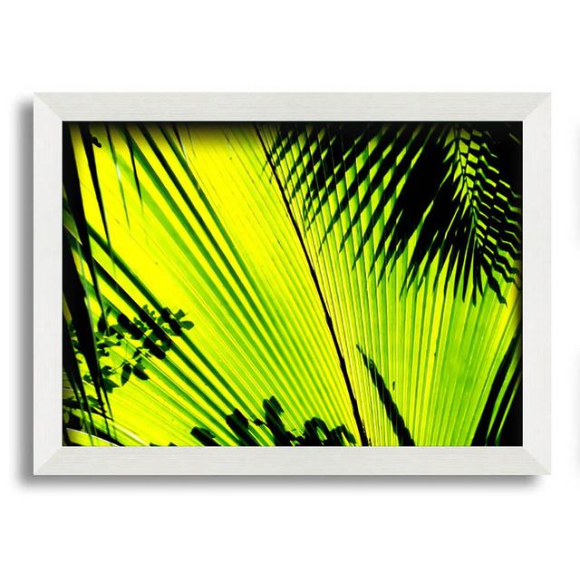 Lime Palm Tree - Single Picture Frame Art Prints Bay Isle Home Size: 59.7cm H x 84.1cm W on Productcaster.