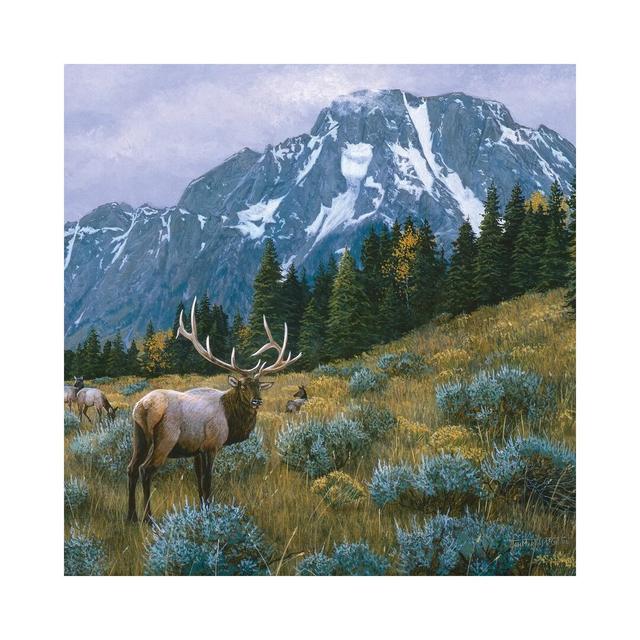 Elk XIV by Jan Martin Mcguire - Wrapped Canvas Painting Alpen Home Size: 66.04cm H x 66.04cm W x 3.81cm D on Productcaster.