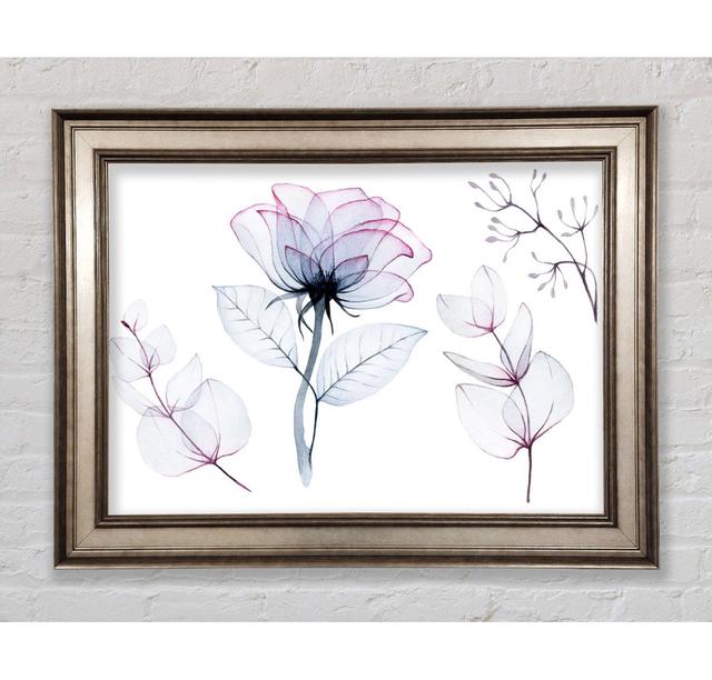 Transparency Flowers Framed Print Bright Star Size: 100cm H x 141.4cm W on Productcaster.