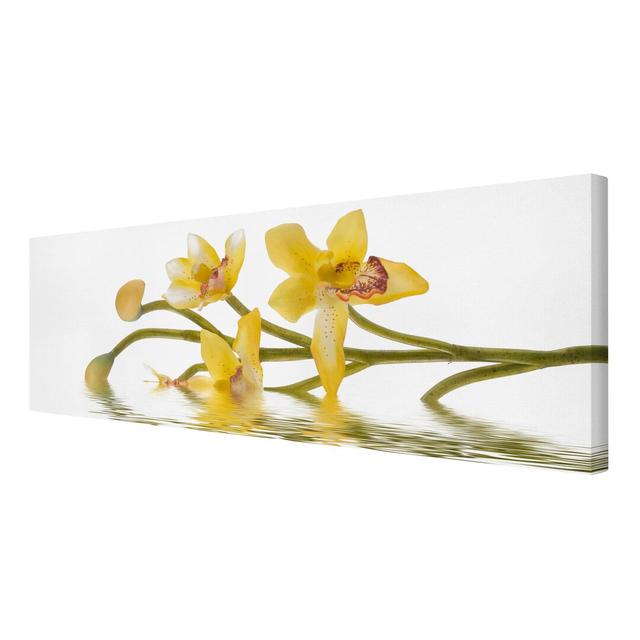 Saffron Orchids on Water Photographic Print on Canvas East Urban Home Size: 120cm L x 40cm W on Productcaster.