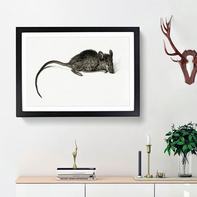 Mouse by Jean Bernard - Picture Frame Painting Print East Urban Home Size: 27cm H x 36cm W x 2cm D, Frame Option: Black Framed on Productcaster.